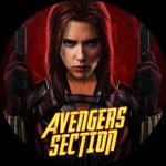 Profile picture of avengers_section